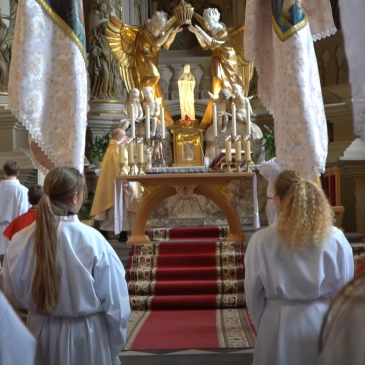 Віримо: Костел св. Марії Магдалини у Львові